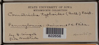 Image Associated With the Occurence